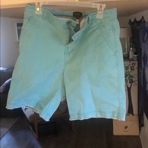 Sky Blue Urban Outfitters Shorts